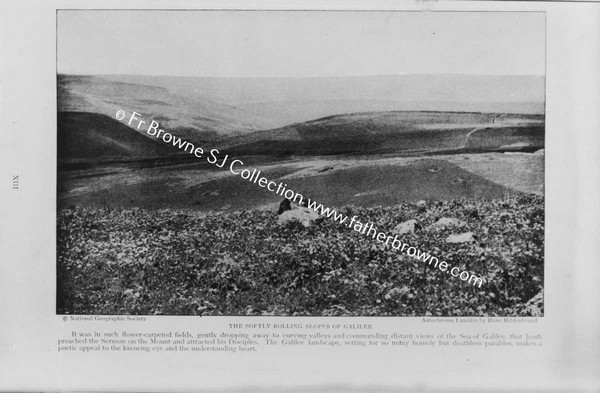 CHRIST EASTER SUNDAY THE PLAIN OF ESDRAELON